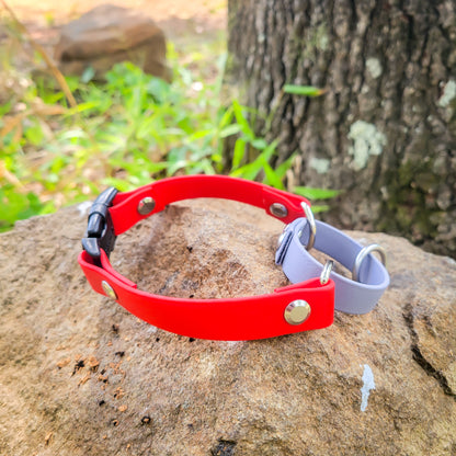 Martingale Collar