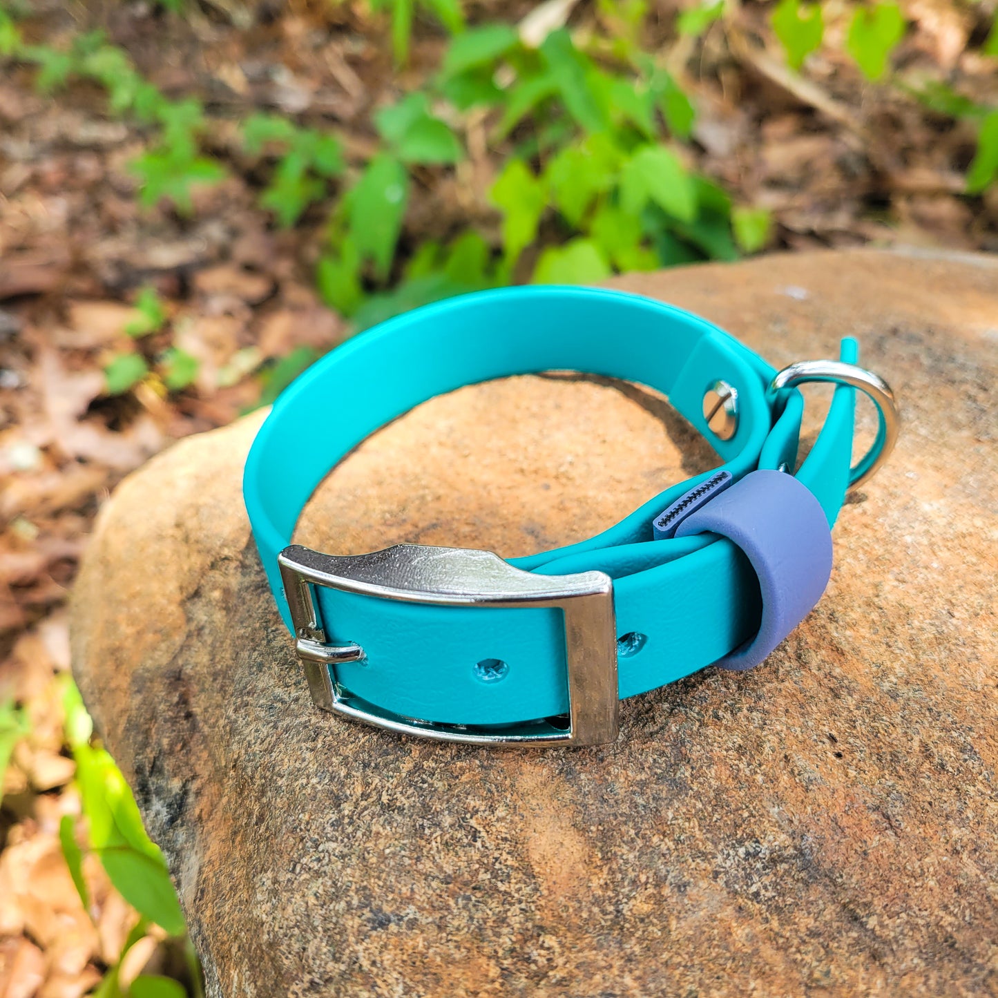 Puppy Collar