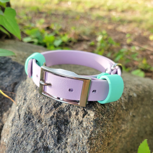 Grow With Me Puppy Collar