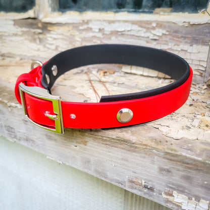 2-Tone Collar