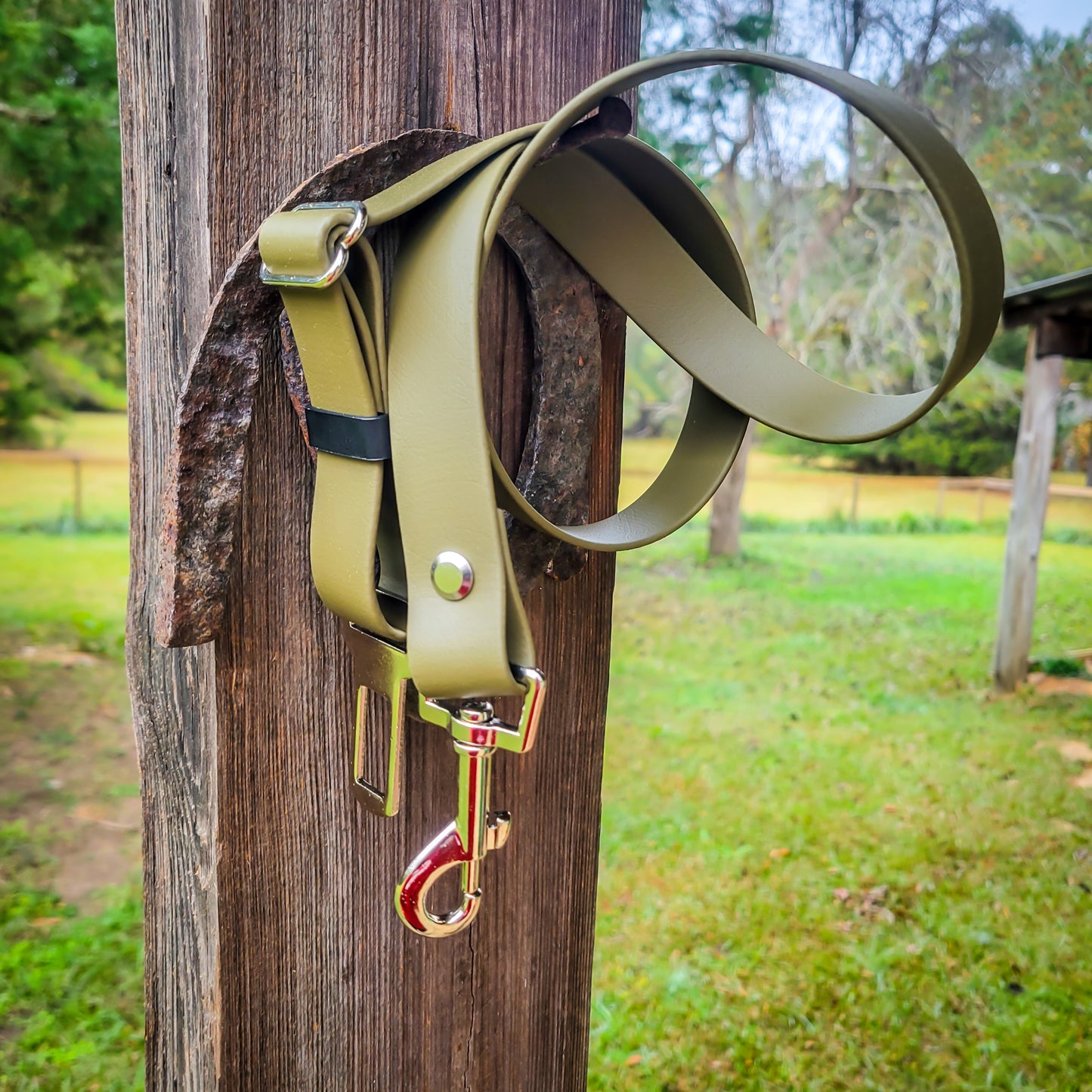 Seatbelt Leash