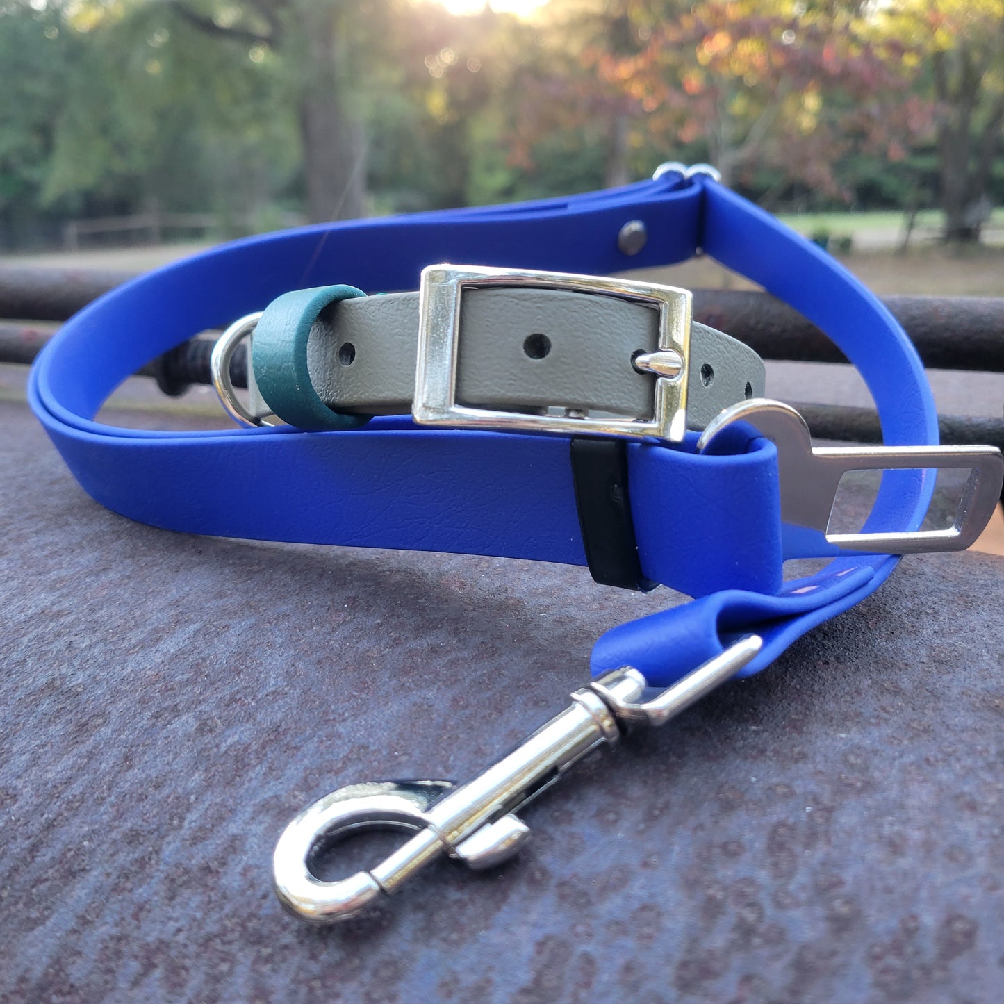 Seatbelt Leash