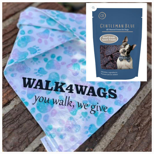 Walk4Wags Bundle Box: Basic