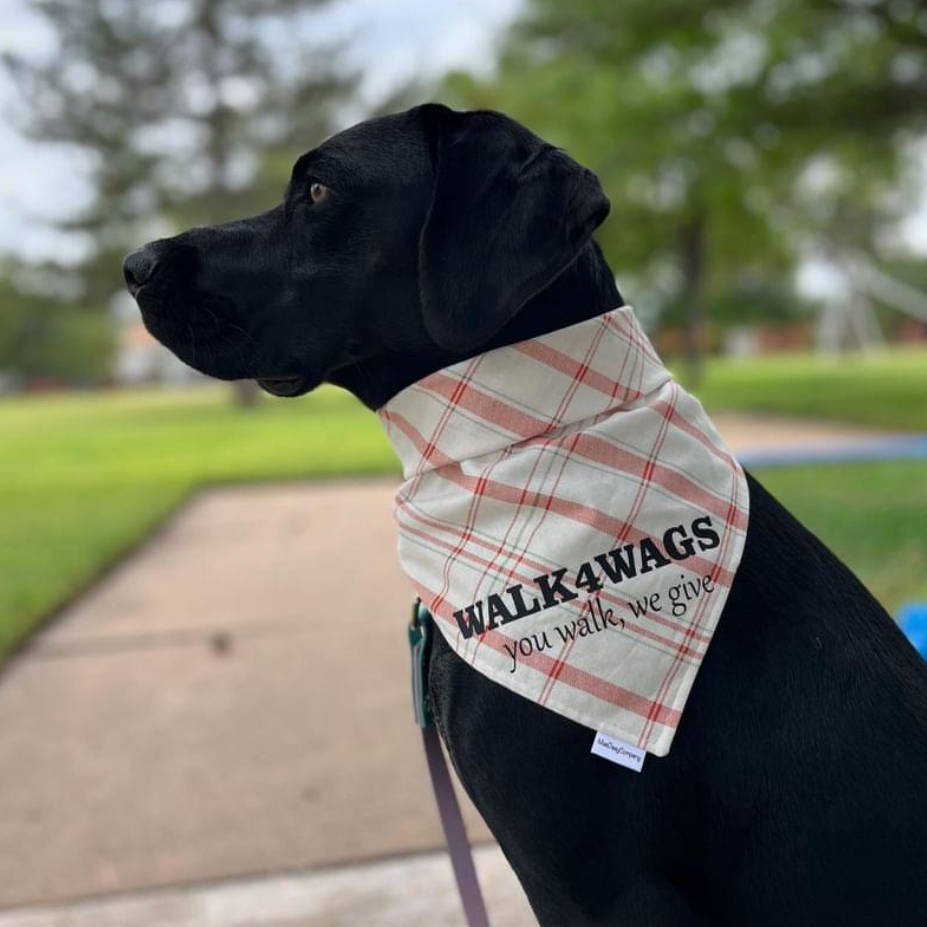 Walk4Wags Bandana: September Edition