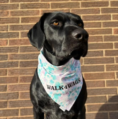 Walk4Wags Bandana: Spring 2025 Edition