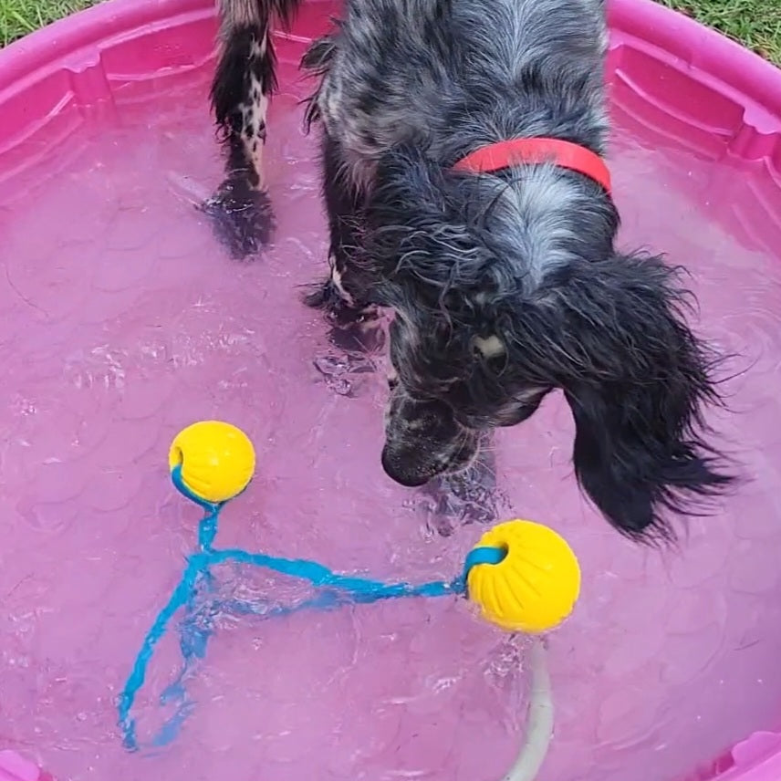 Floating Tug Toy