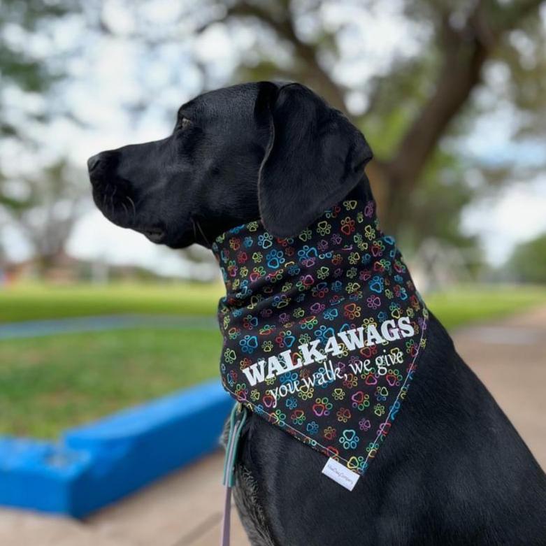 Walk4Wags Bandana